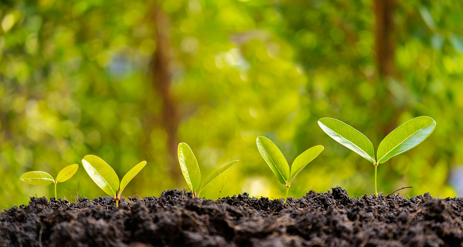 Grow business - financial and investment concepts